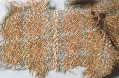 The Hami fragment