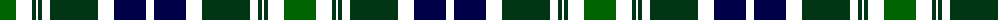 Spirit of Pakistan, The example sett