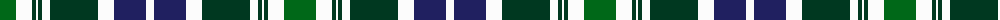 Spirit of Pakistan, The example sett