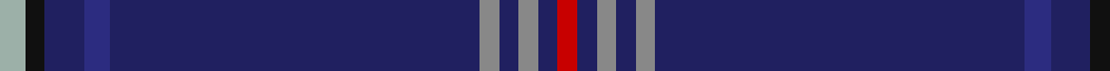 U.S. Law Enforcement example sett
