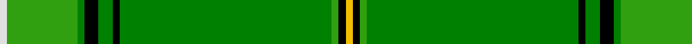 Celtic F.C. example sett