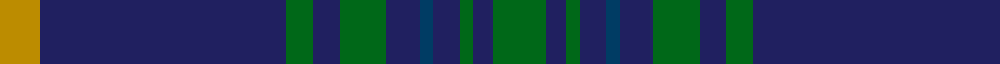 Jenkins (Welsh Name) example sett