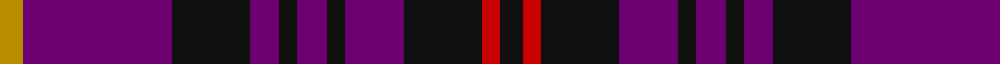 Caledonian Oriental Airlines (Corporate) example sett