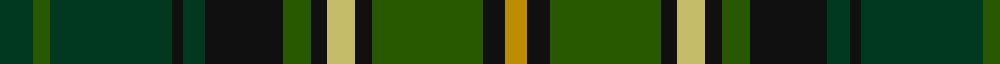 Celtic Football Club (2005) example sett