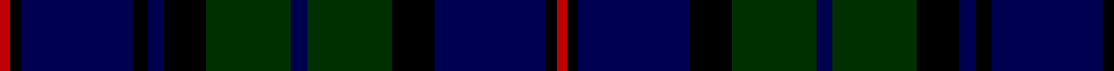 Metropolitan Atlanta Police, Emerald Society example sett