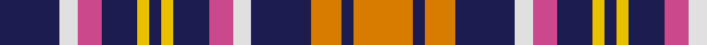 Denver Broncos (Sports) example sett