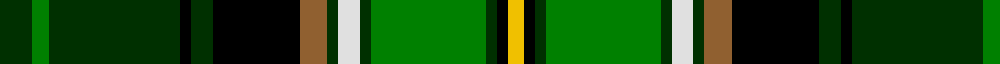 Celtic F.C. example sett