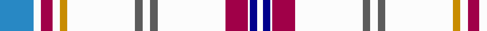 Confederate Memorial Dress (Military example sett