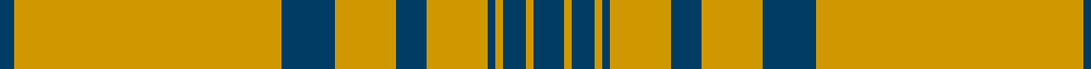 Agincourt (Fashion)