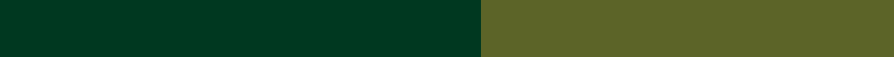 Wilson's No.219 example sett
