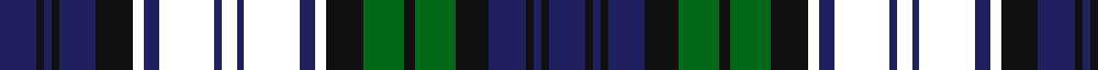 Black Watch Dress (Asymmetrical) example sett