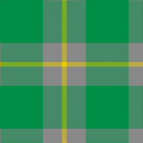 Tartan detail