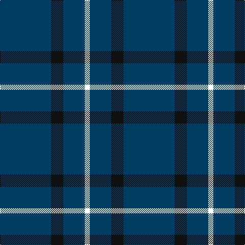 Tartan detail