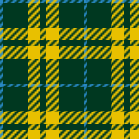 Tartan detail