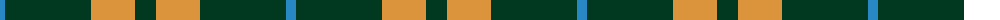 Special Saffron (Fashion) example sett