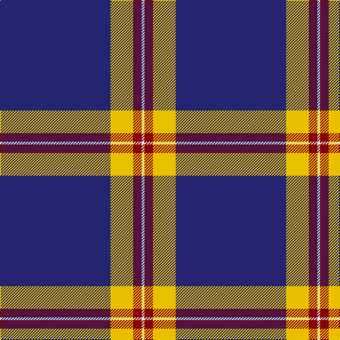 DB/156 Y32 DR12 LN/4 tartan Tartan detail