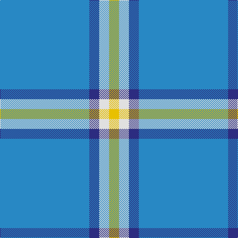 B/180 DB20 LN20 Y/20 tartan Tartan detail