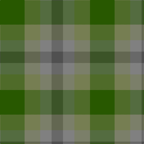 Tartan detail