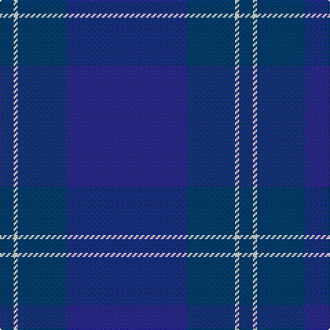 DB/10 LN3 DB35 DBa/88 tartan Tartan detail