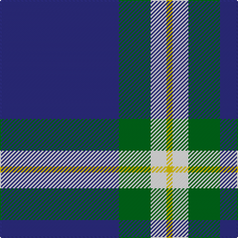 DB/120 G32 W16 Y/6 tartan Tartan detail