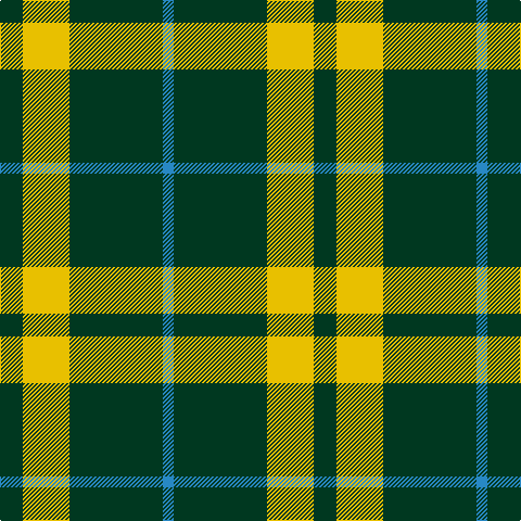 B/10 DG86 Y43 DG/21 tartan Tartan detail