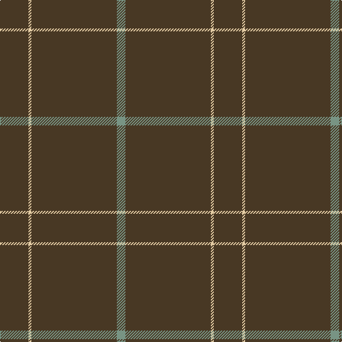 LG/12 T120 LR4 T/40 tartan Tartan detail