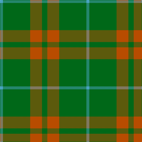 Tartan detail