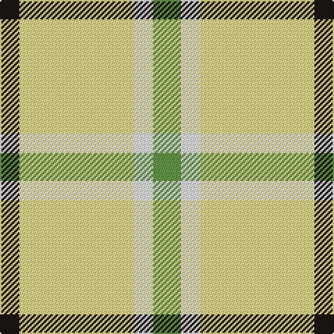 Tartan detail