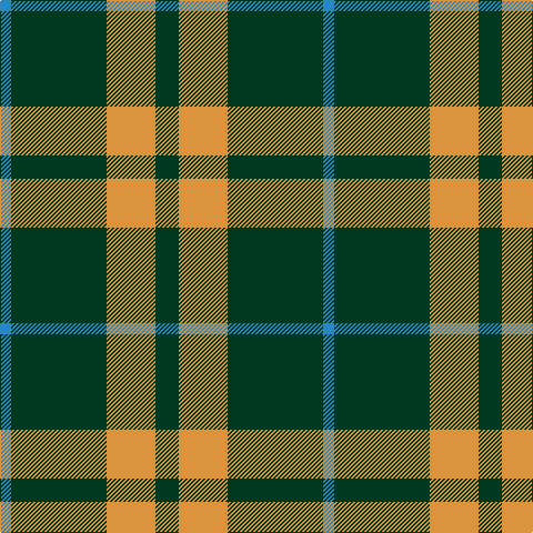 Tartan detail