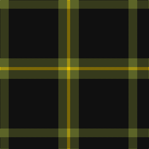 Tartan detail