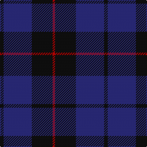 K/6 DB46 K34 R/4 tartan Tartan detail