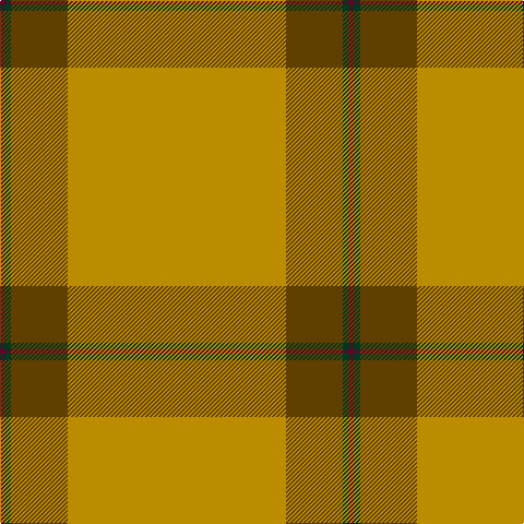 DR/4 DG6 T52 DY/200 tartan Tartan detail