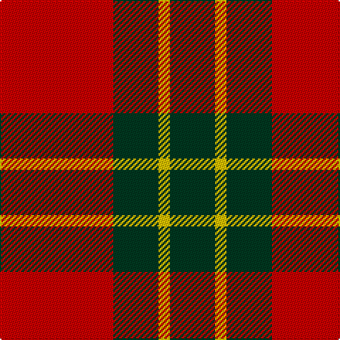 R/80 DG32 Y8 DG/32 tartan Tartan detail