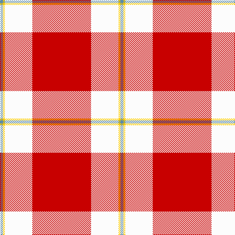 B/6 Y4 W56 R/120 tartan Tartan detail