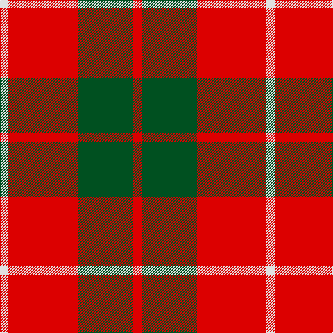 LN/12 R100 G80 R/12 tartan Tartan detail