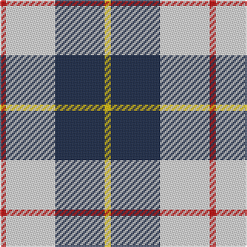 R/4 LN32 DB32 Y/4 tartan Tartan detail