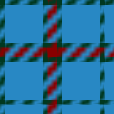 DG/20 B160 DG20 DR/40 tartan Tartan detail