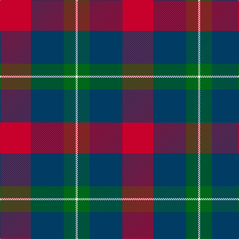 R/62 DB66 G24 W/4 tartan Tartan detail