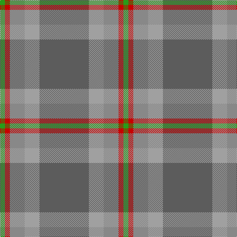 Tartan detail