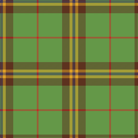 Tartan detail