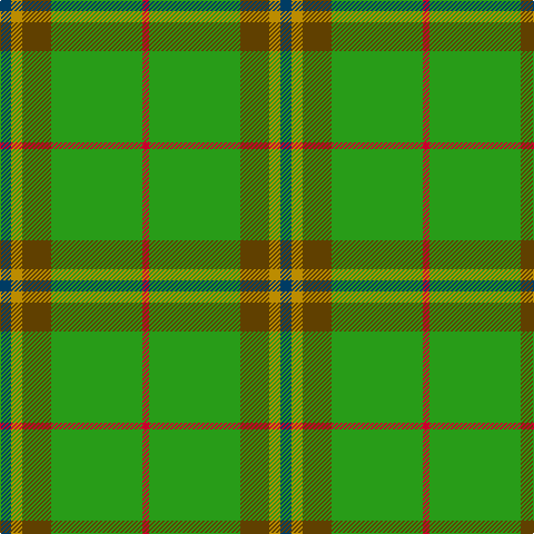 Tartan detail