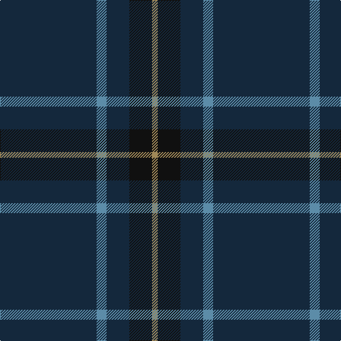 Tartan detail