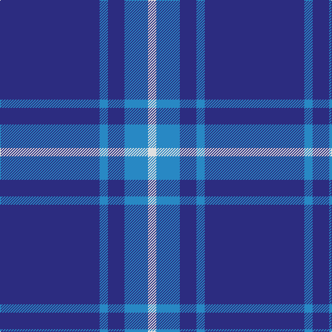 Tartan detail