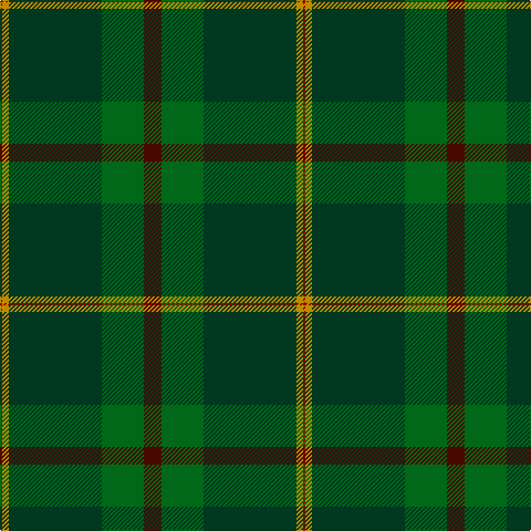 DR/2 DY6 DG84 G38 DRa/16 tartan Tartan detail