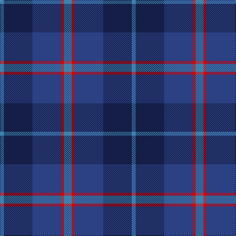 Tartan detail