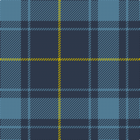 B/36 N12 B4 N48 Y/4 tartan Tartan detail