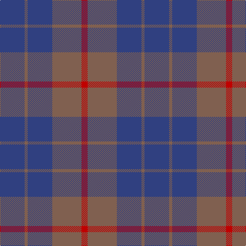 B/48 LT6 B48 LT57 R/12 tartan Tartan detail