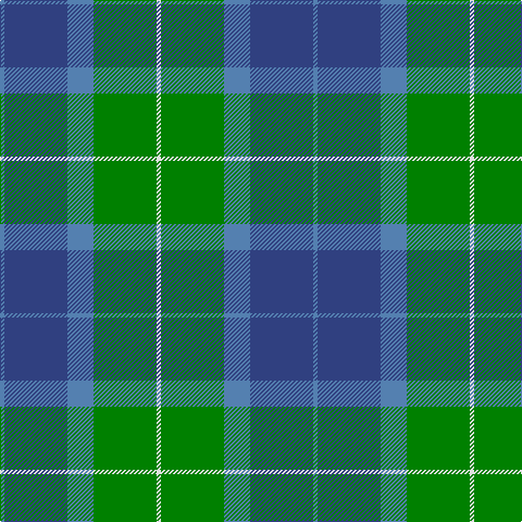 Ba/4 B58 Ba24 G58 LN/4 tartan Tartan detail