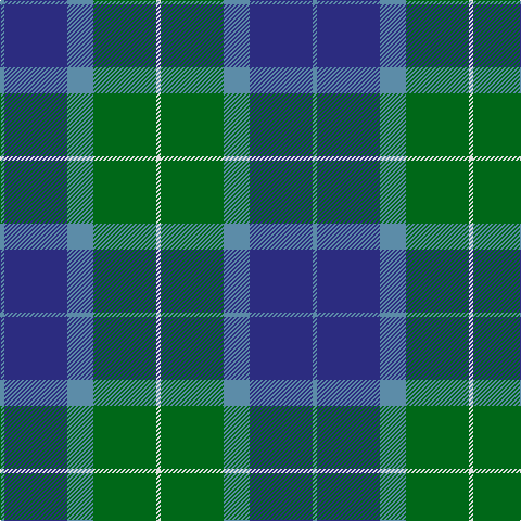 B/4 DB58 B24 G58 LN/4 tartan Tartan detail