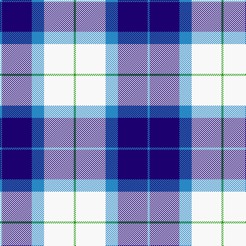 B/4 DB58 B24 W58 G/4 tartan Tartan detail